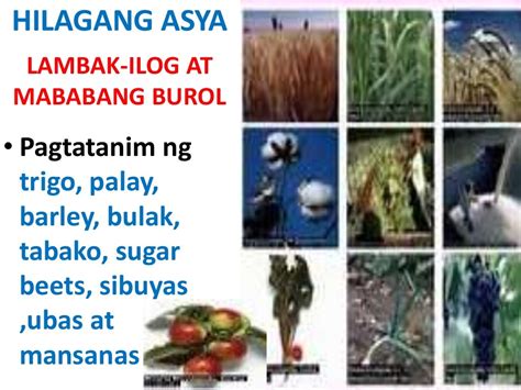 Modyul 3: Mga Likas na Yaman ng Asya .